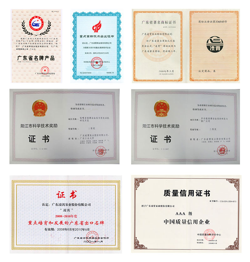 凌霄水泵企業(yè)榮譽與獎項