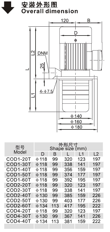 COD系列浸入式多級(jí)離心泵安裝外形圖